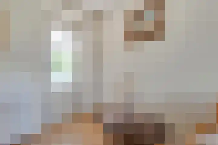 Von Piekartzmarke 62 Zwolle thumbnail 28