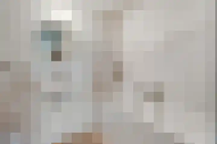 Von Piekartzmarke 62 Zwolle thumbnail 31
