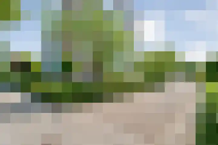 Von Piekartzmarke 62 Zwolle thumbnail 36