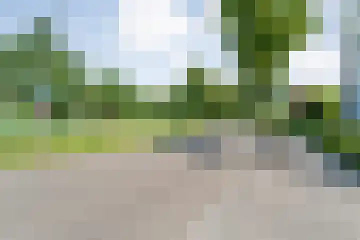Von Piekartzmarke 62 Zwolle thumbnail 37