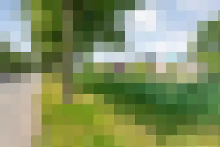 Von Piekartzmarke 62 Zwolle thumbnail 38