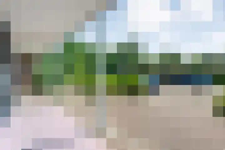 Von Piekartzmarke 62 Zwolle thumbnail 39