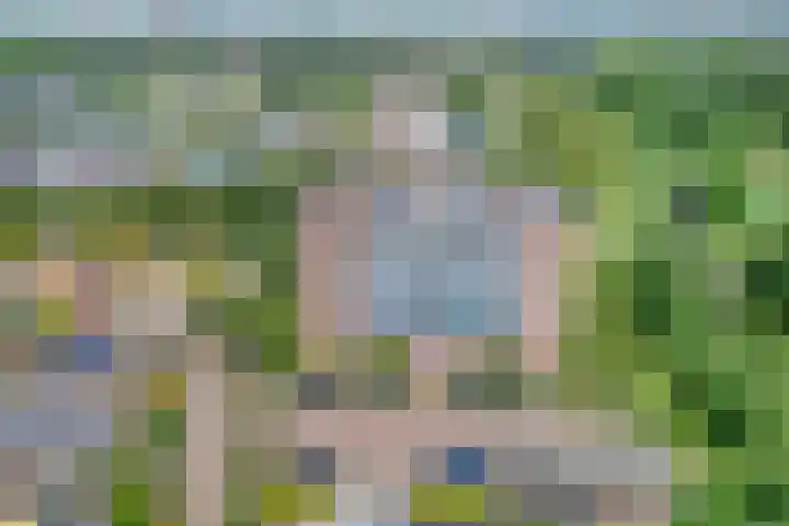 Von Piekartzmarke 62 Zwolle thumbnail 4