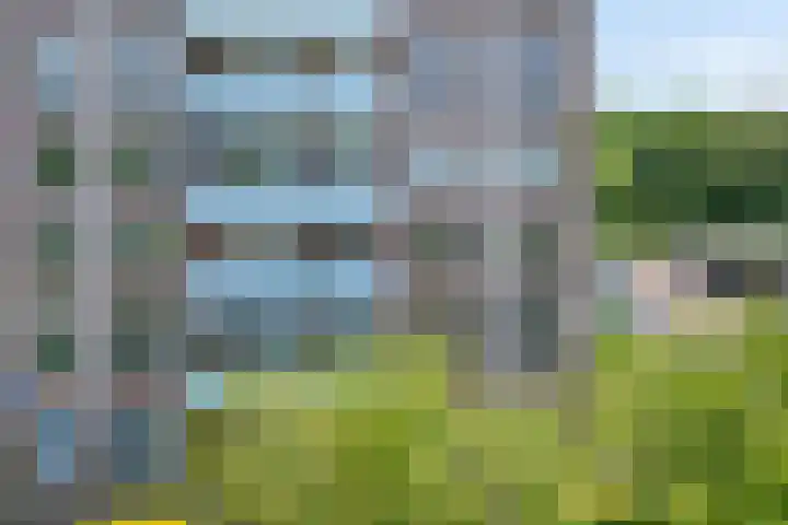 Von Piekartzmarke 62 Zwolle thumbnail 44