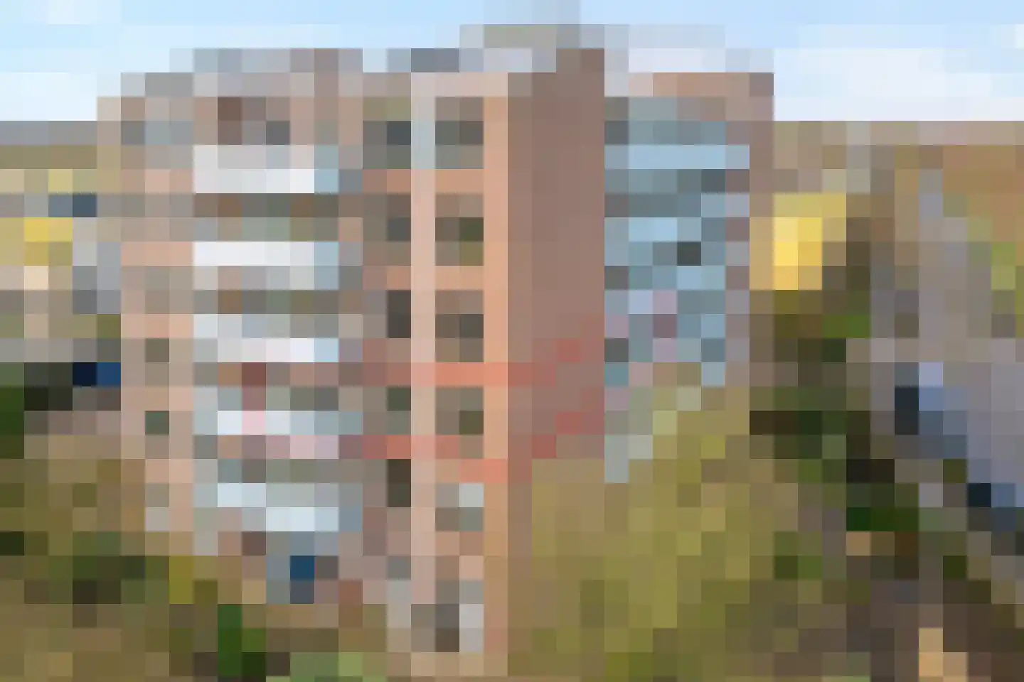 Von Piekartzmarke 66 dans Zwolle