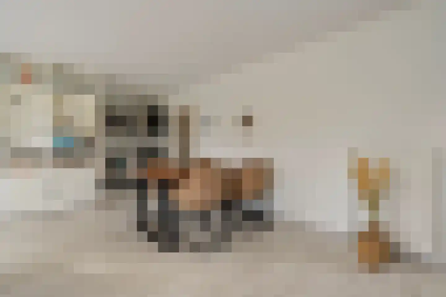 Von Piekartzmarke 66 Zwolle thumbnail 15