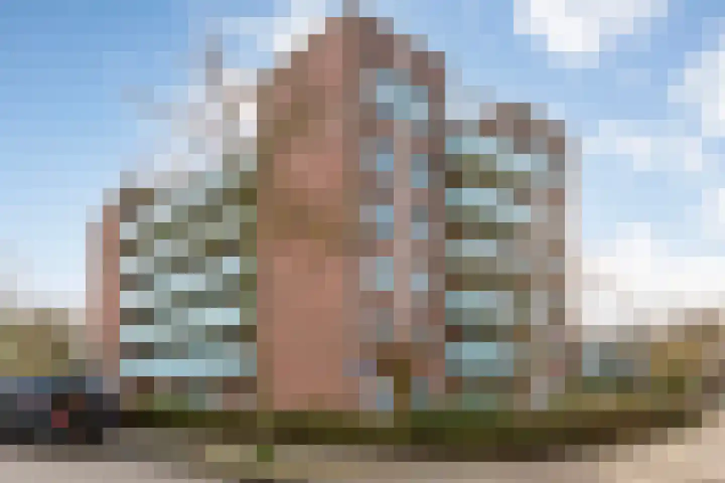 Von Piekartzmarke 66 Zwolle thumbnail 4
