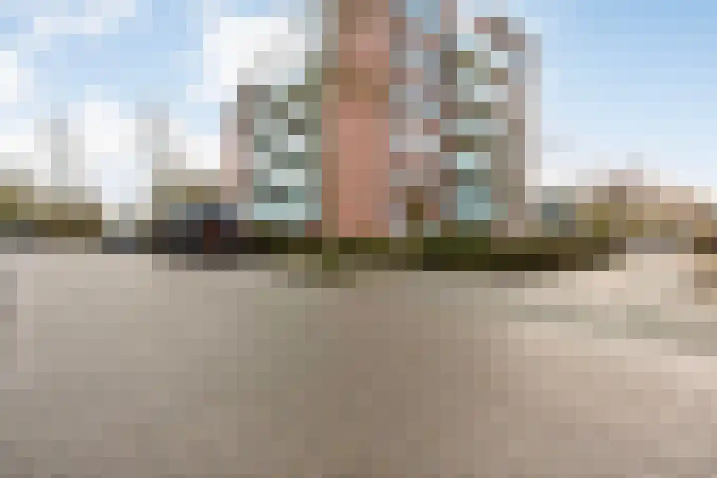 Von Piekartzmarke 66 Zwolle thumbnail 40