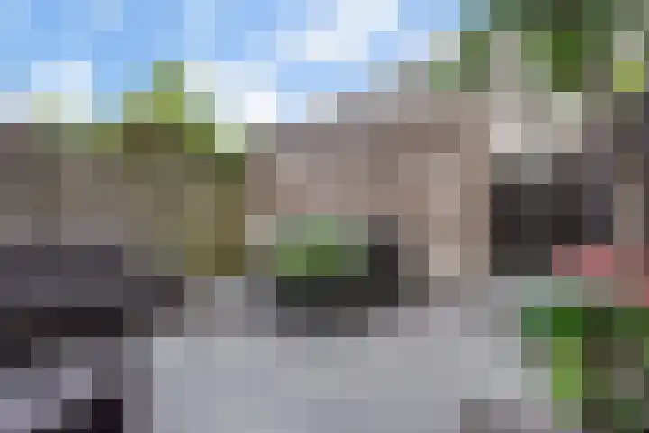 Von Rheinhabenstraat 24 's-Hertogenbosch thumbnail 14
