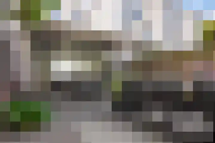 Von Rheinhabenstraat 24 's-Hertogenbosch thumbnail 16