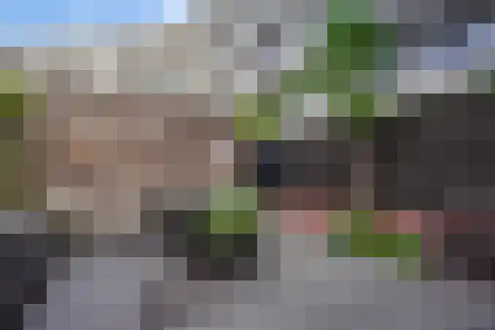 Von Rheinhabenstraat 24 's-Hertogenbosch thumbnail 17