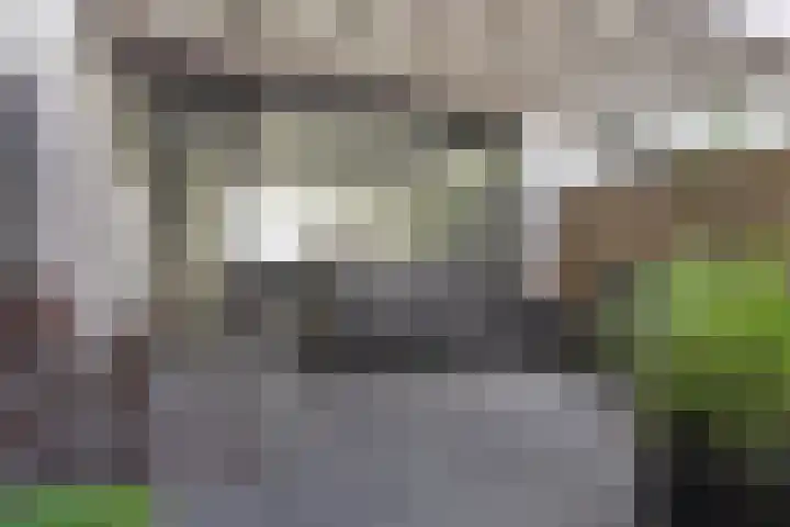 Von Rheinhabenstraat 24 's-Hertogenbosch thumbnail 19