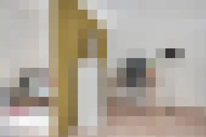 Von Rheinhabenstraat 24 's-Hertogenbosch thumbnail 32