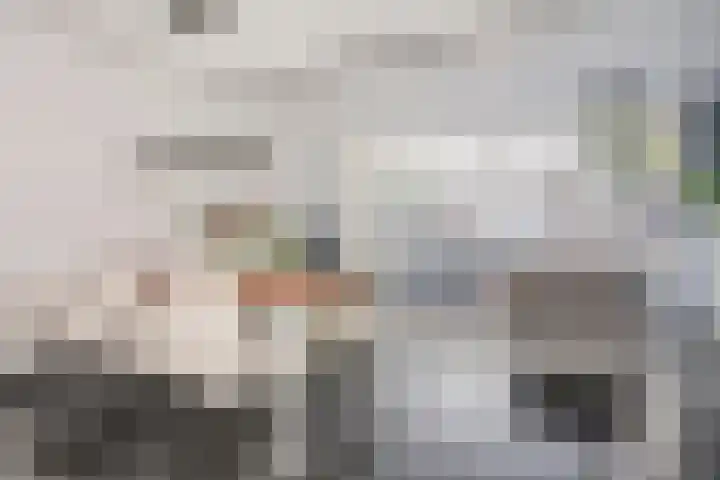 Von Rheinhabenstraat 24 's-Hertogenbosch thumbnail 4