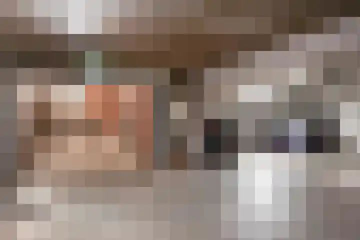 Von Rheinhabenstraat 24 's-Hertogenbosch thumbnail 42