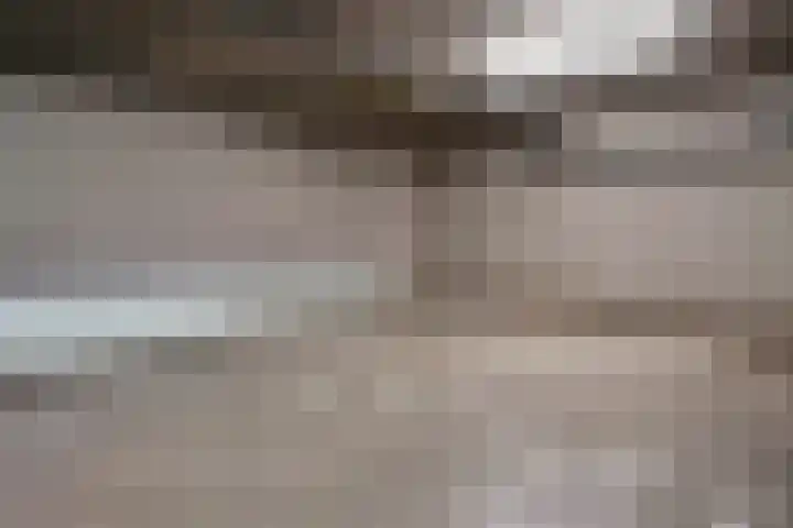 Von Rheinhabenstraat 24 's-Hertogenbosch thumbnail 43