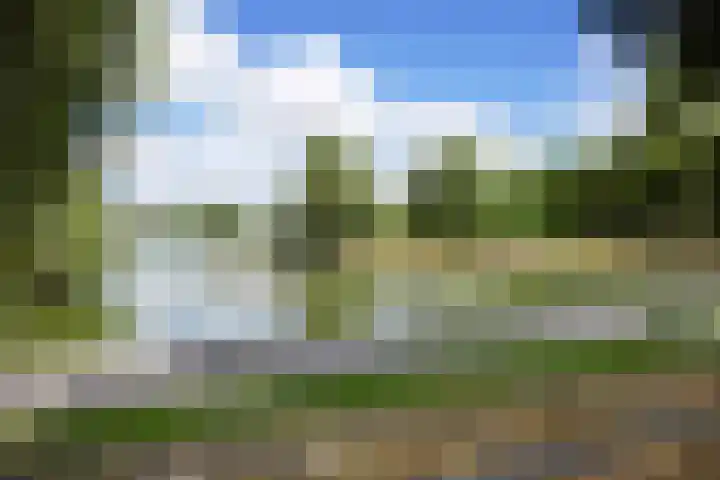 Von Rheinhabenstraat 24 's-Hertogenbosch thumbnail 44