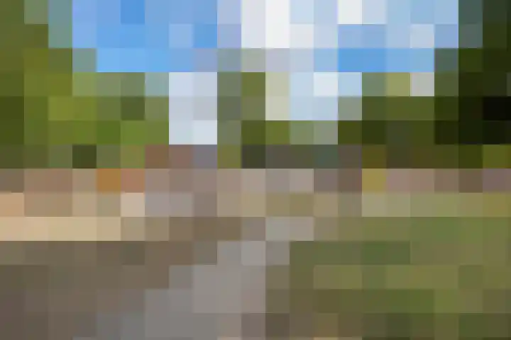 Von Rheinhabenstraat 24 's-Hertogenbosch thumbnail 45