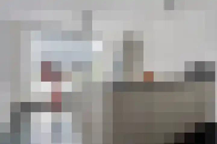 Von Rheinhabenstraat 24 's-Hertogenbosch thumbnail 9