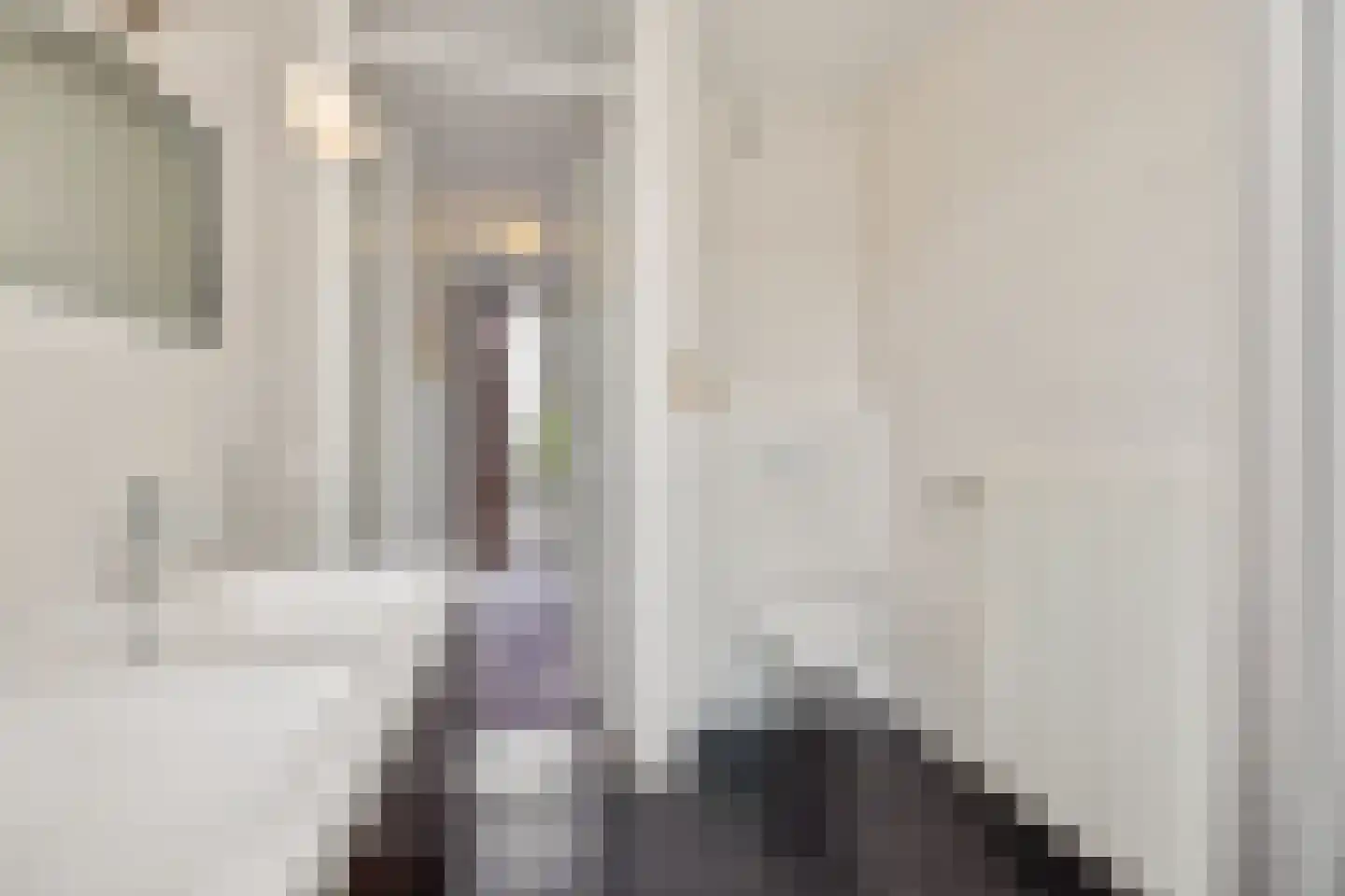 Von Rheinhabenstraat 4 's-Hertogenbosch thumbnail 17