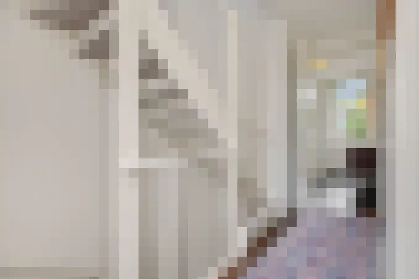 Von Rheinhabenstraat 4 's-Hertogenbosch thumbnail 20