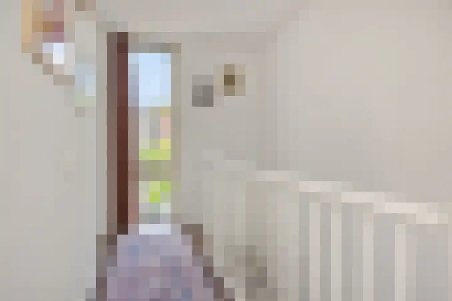 Von Rheinhabenstraat 4 's-Hertogenbosch thumbnail 21