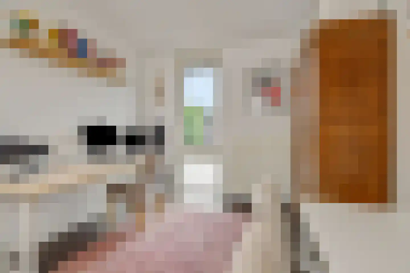 Von Rheinhabenstraat 4 's-Hertogenbosch thumbnail 23