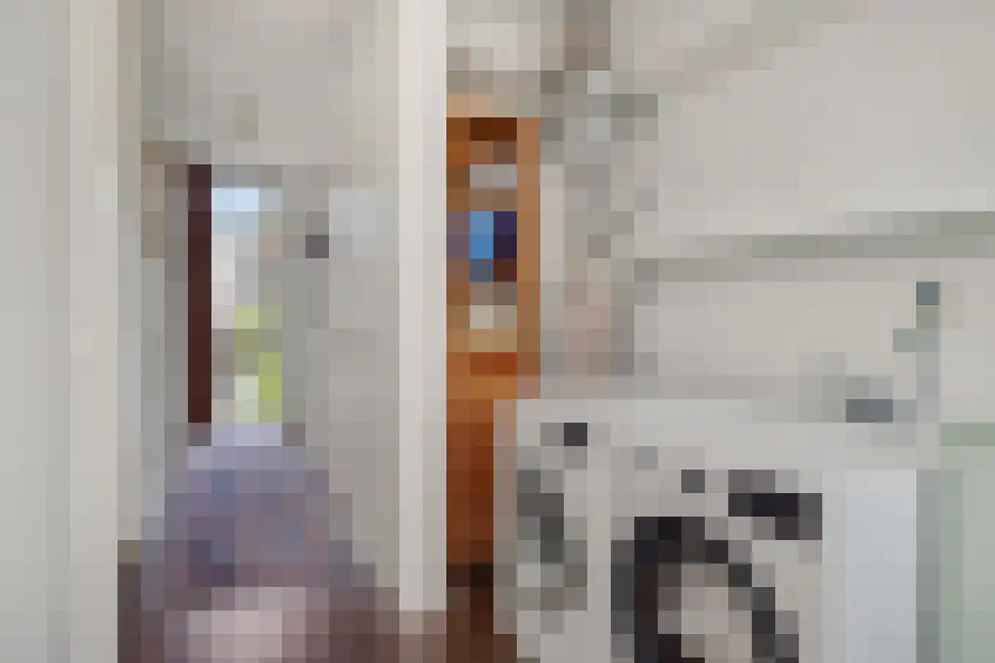 Von Rheinhabenstraat 4 's-Hertogenbosch thumbnail 27