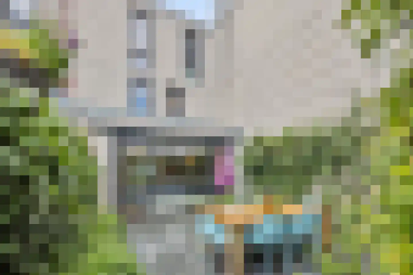 Von Rheinhabenstraat 4 's-Hertogenbosch thumbnail 30