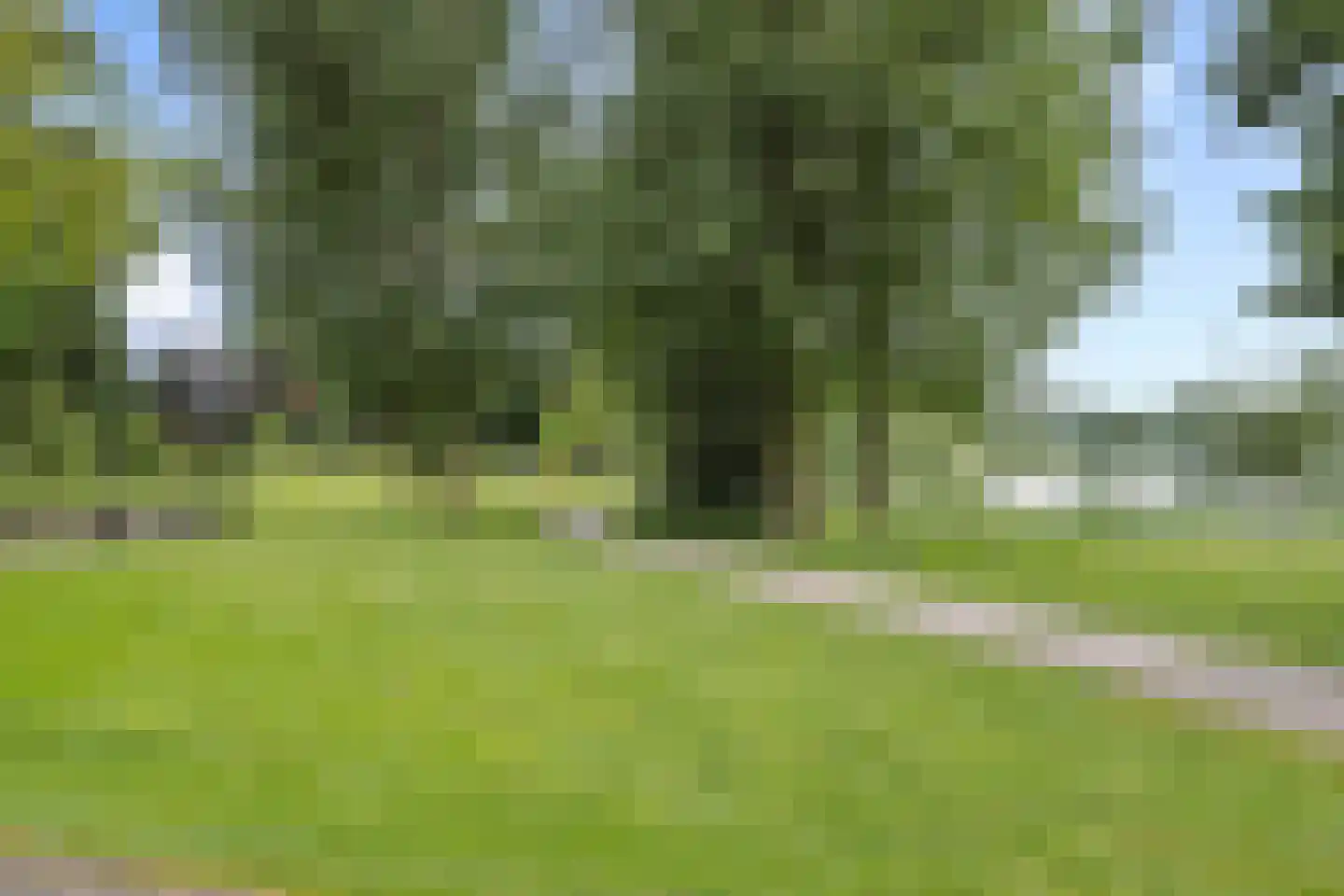 Von Rheinhabenstraat 4 's-Hertogenbosch thumbnail 34