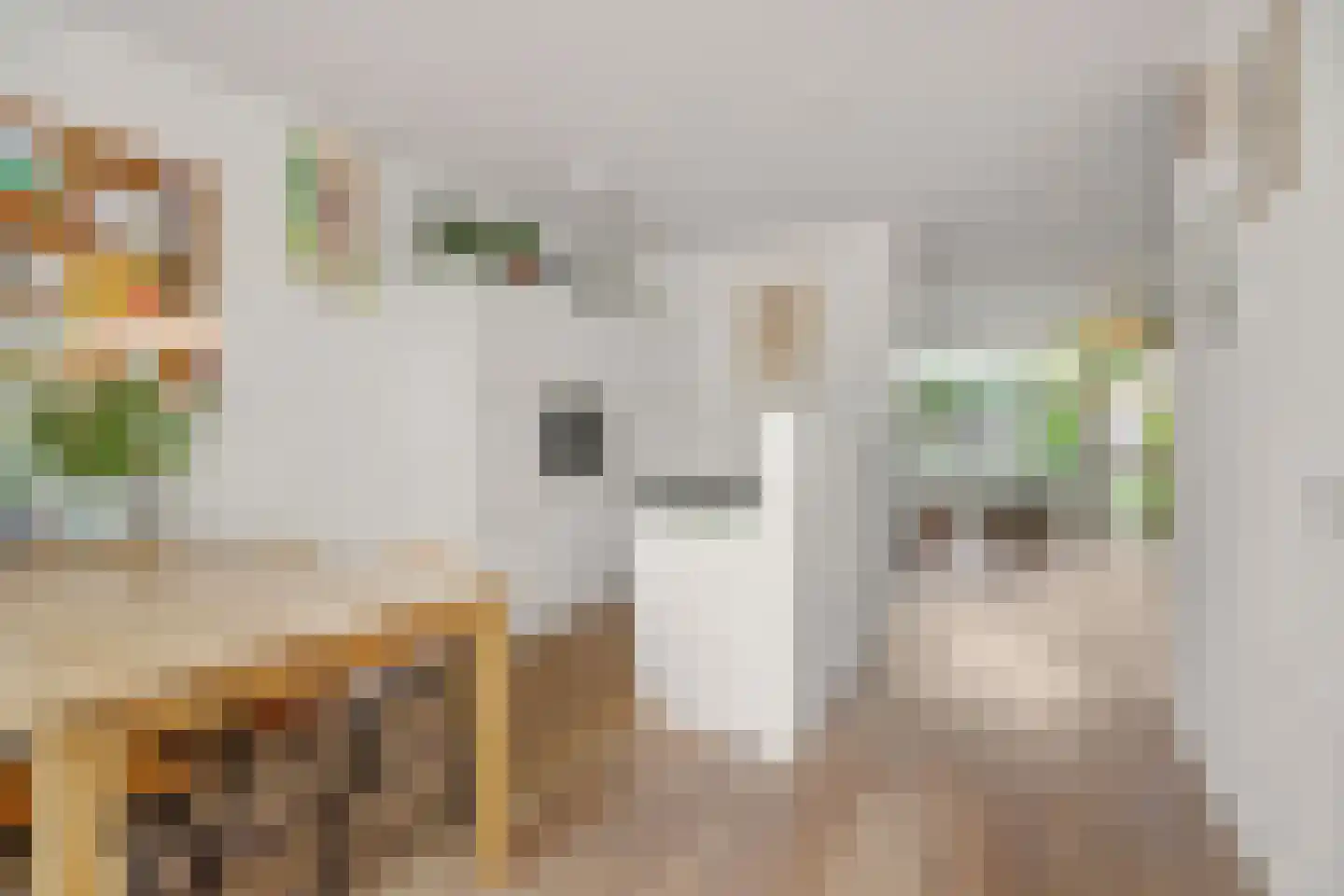 Von Rheinhabenstraat 4 's-Hertogenbosch thumbnail 8