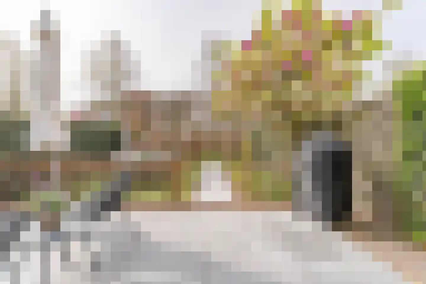 von Sieboldstraat 2 Boskoop thumbnail 10