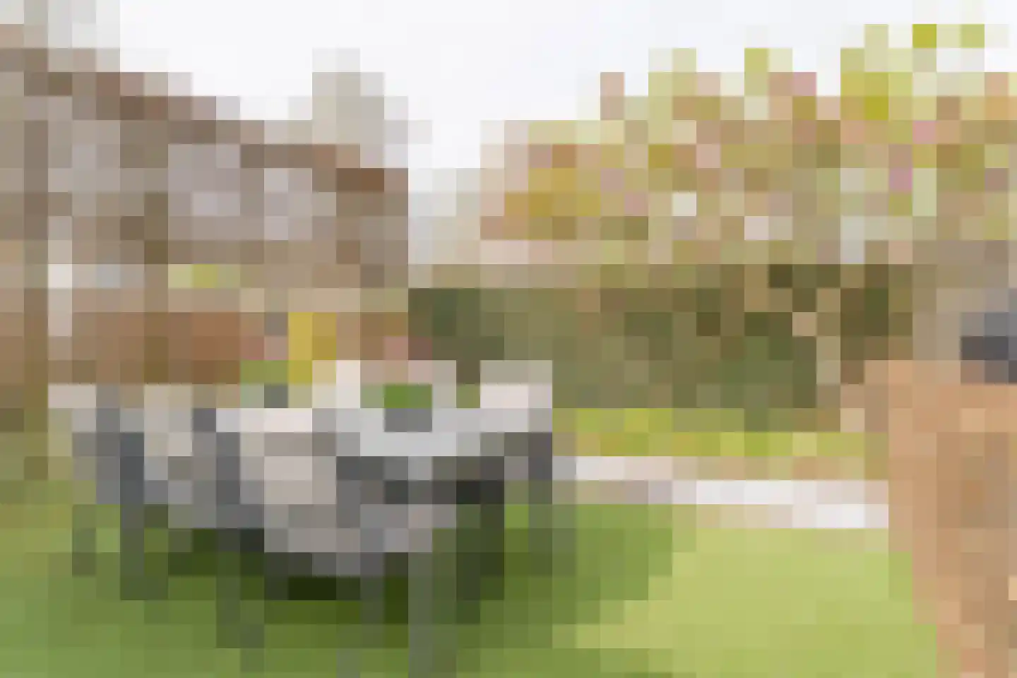 von Sieboldstraat 2 Boskoop thumbnail 11