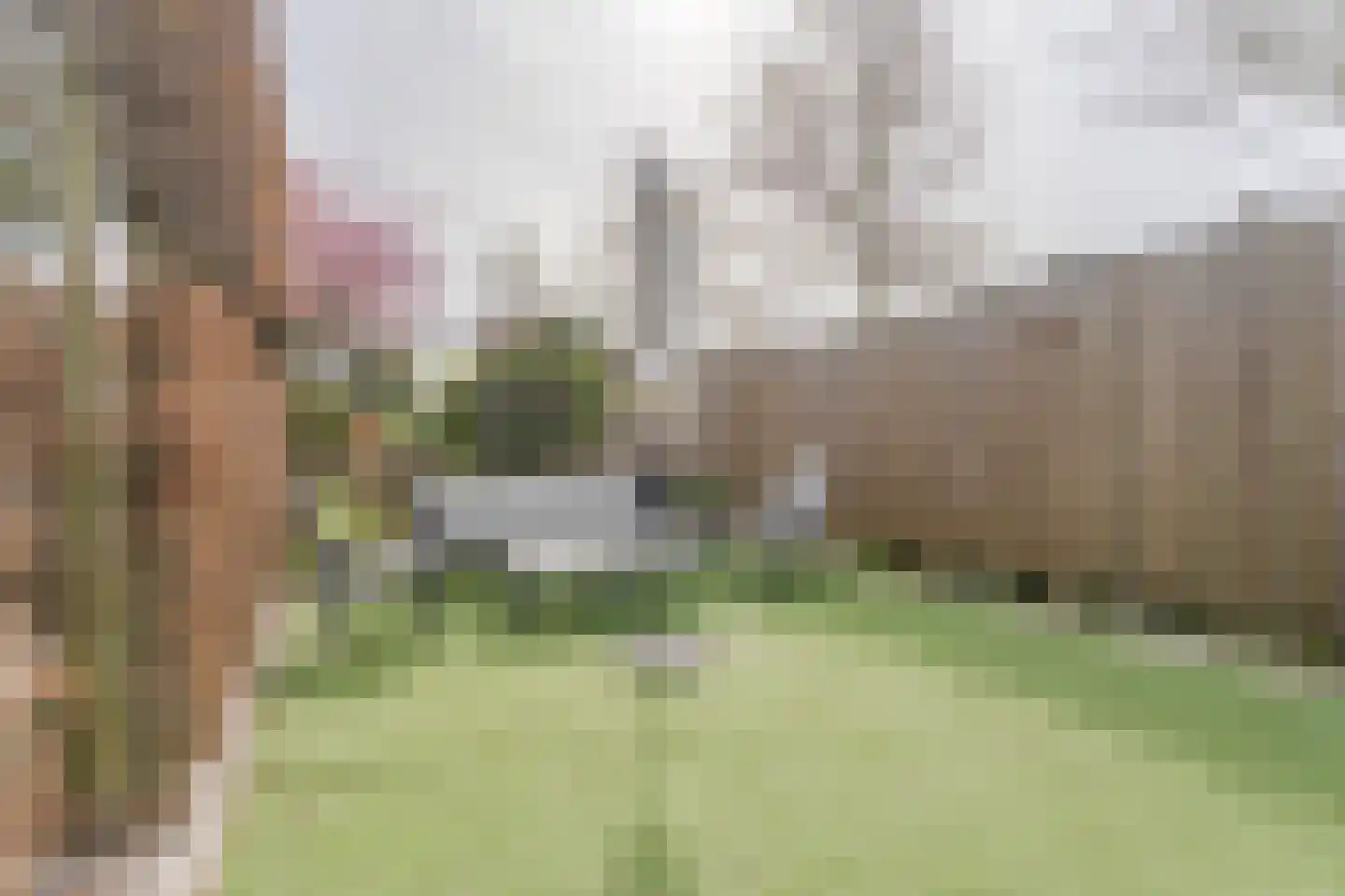 von Sieboldstraat 2 Boskoop thumbnail 13