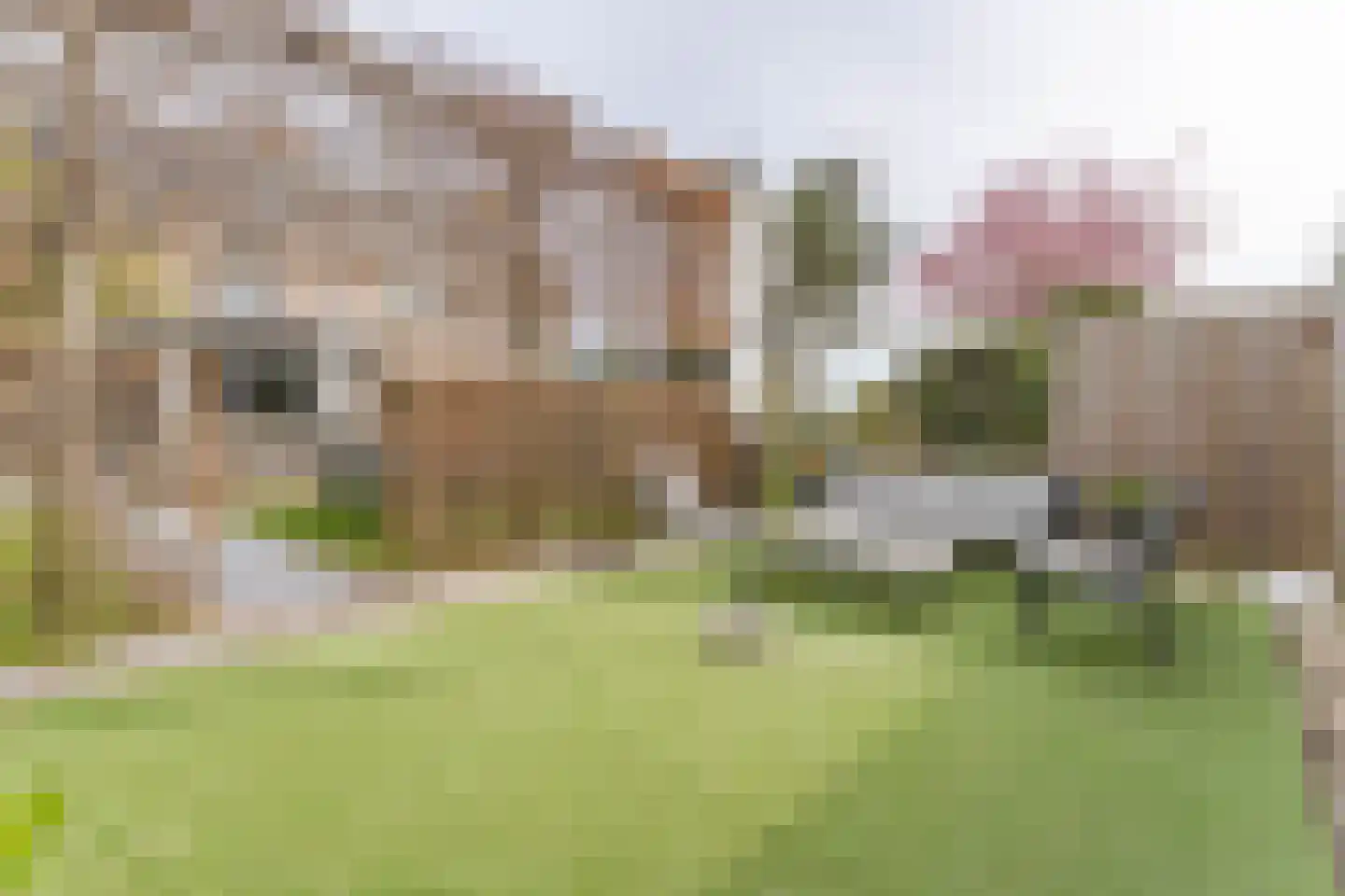 von Sieboldstraat 2 Boskoop thumbnail 14