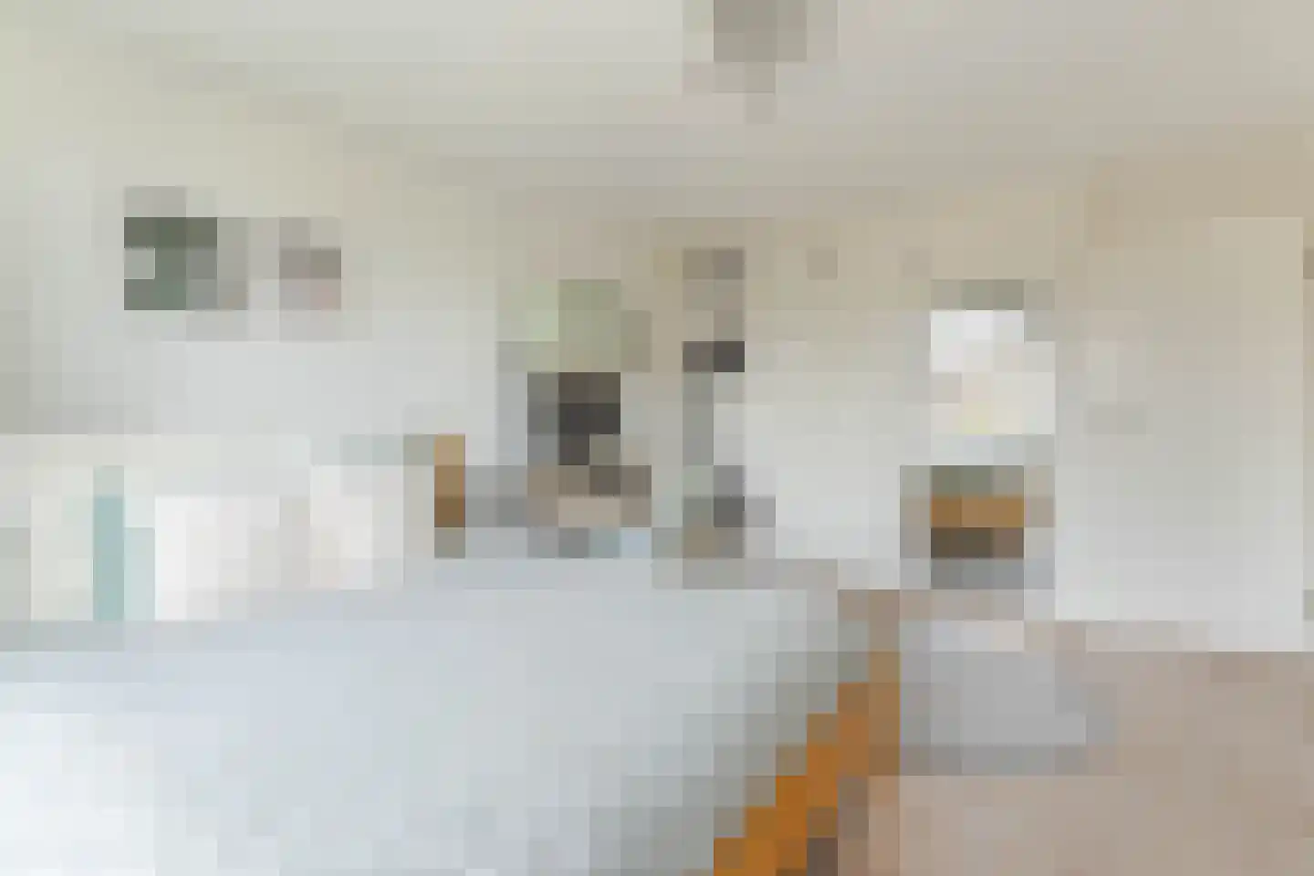 von Sieboldstraat 2 Boskoop thumbnail 25