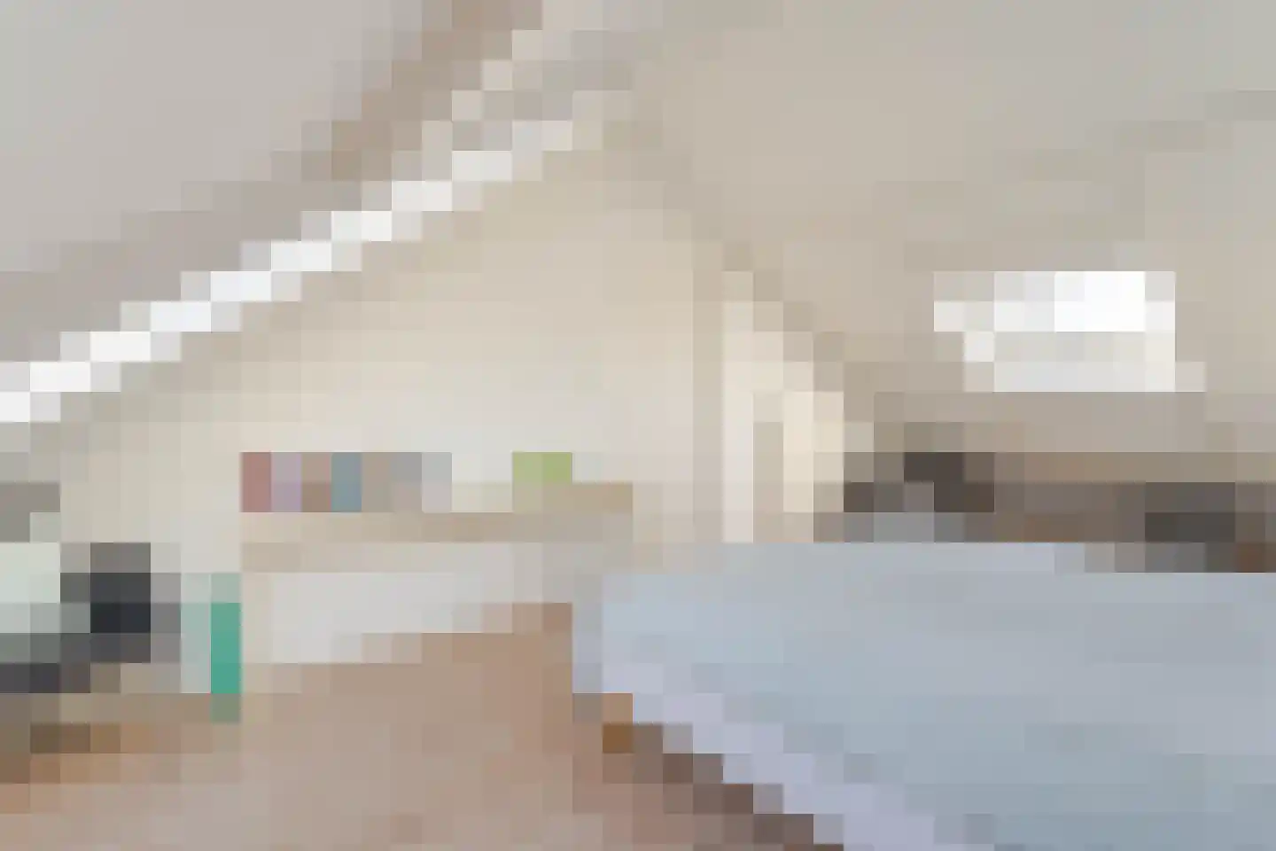 von Sieboldstraat 2 Boskoop thumbnail 33