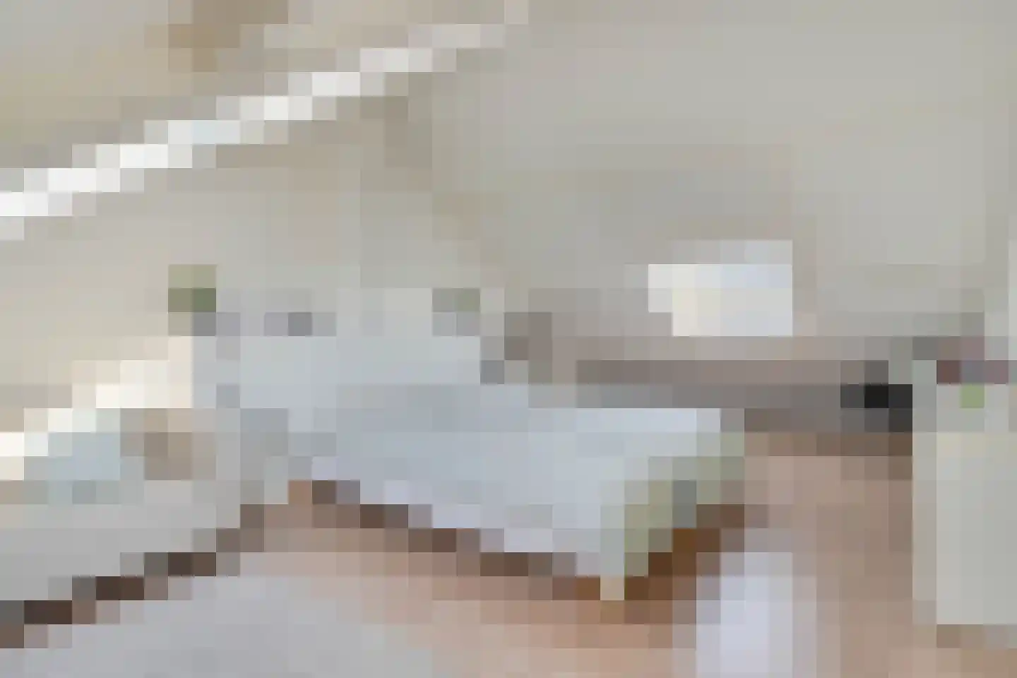 von Sieboldstraat 2 Boskoop thumbnail 34