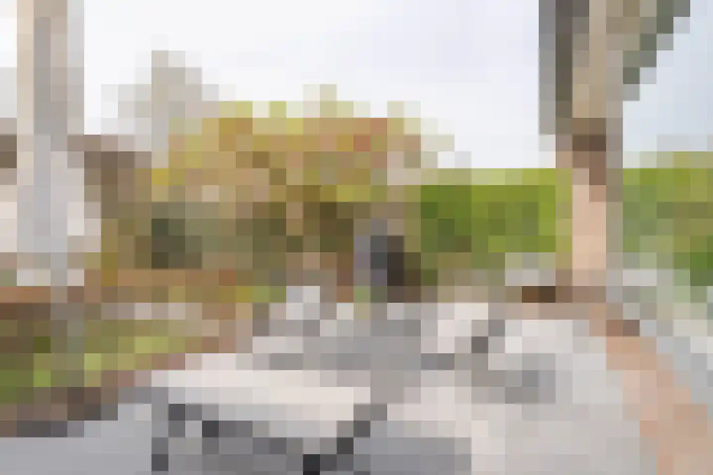von Sieboldstraat 2 Boskoop thumbnail 8