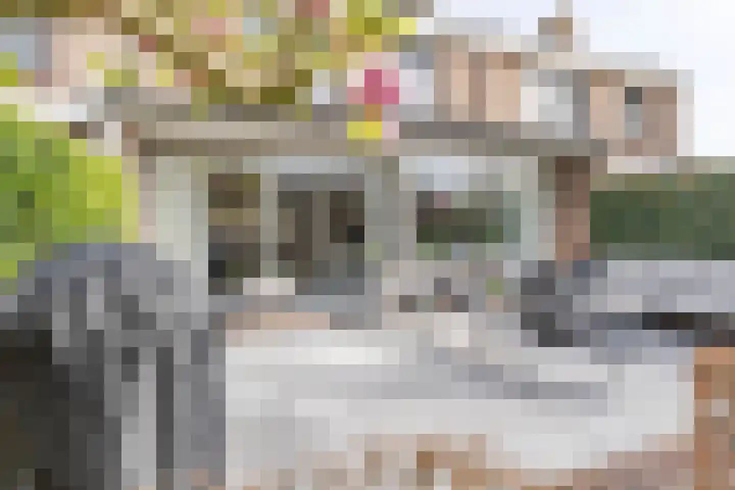 von Sieboldstraat 2 Boskoop thumbnail 9