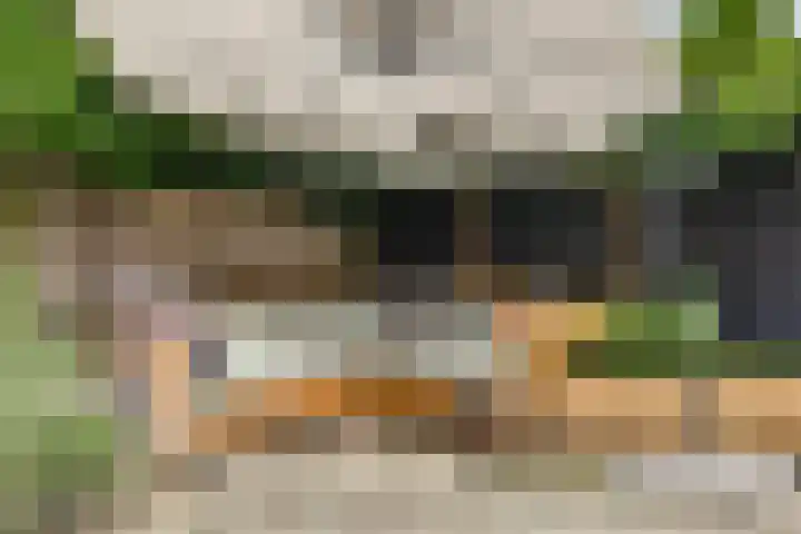 von Suttnerstraat 24 Gouda thumbnail 33