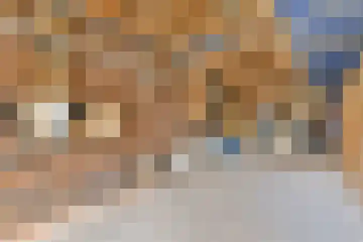 von Suttnerstraat 24 Gouda thumbnail 4