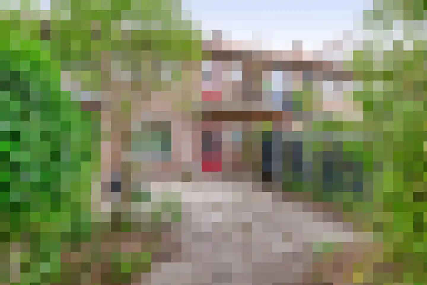 von Suttnerstraat 32 Gouda thumbnail 11