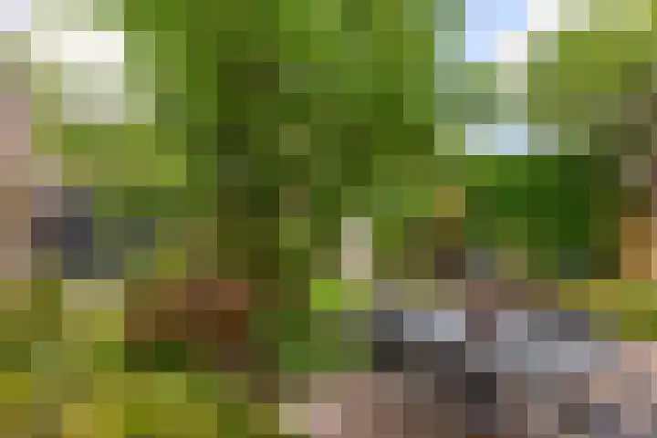 von Suttnerstraat 54 Gouda thumbnail 13