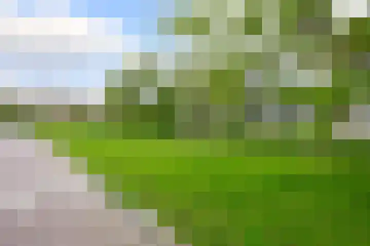 von Suttnerstraat 54 Gouda thumbnail 34