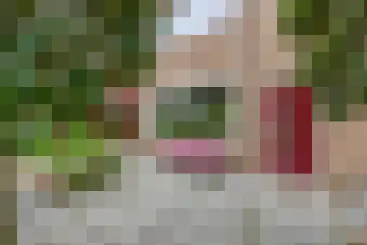 von Suttnerstraat 54 Gouda thumbnail 5
