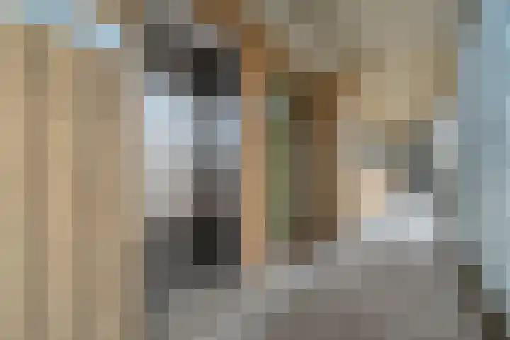 Von Weberhof 24 Zwolle thumbnail 12