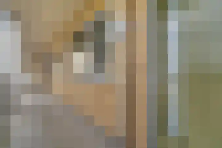 Von Weberhof 24 Zwolle thumbnail 13