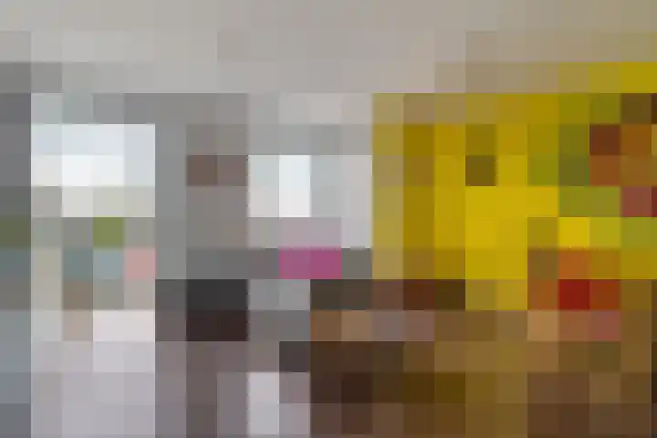 Von Weberhof 24 Zwolle thumbnail 18