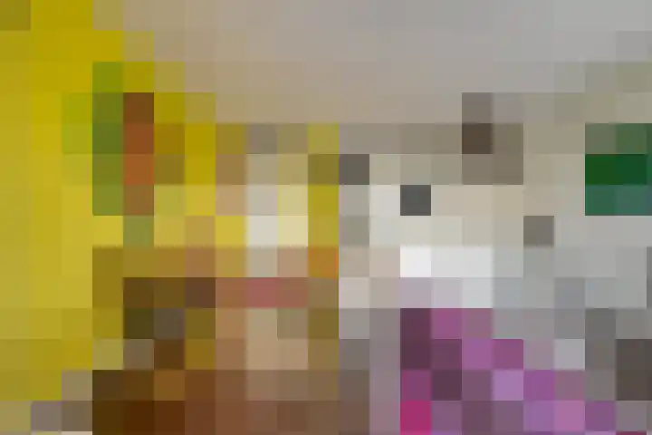 Von Weberhof 24 Zwolle thumbnail 21